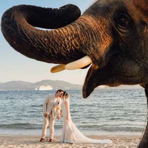 Remember Perfect Dream Wedding Planner Phuket Beach